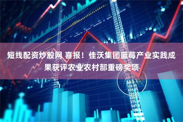 短线配资炒股网 喜报！佳沃集团蓝莓产业实践成果获评农业农村部重磅奖项