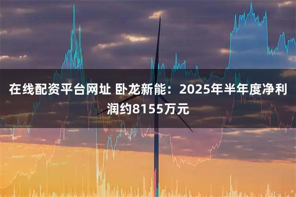 在线配资平台网址 卧龙新能：2025年半年度净利润约8155万元